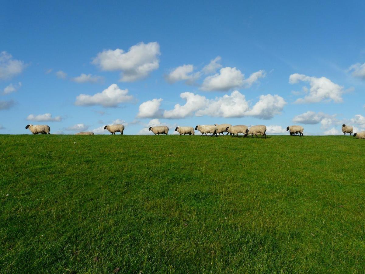 Nordsee Ferienwohnung Nord Dornumersiel Exteriör bild